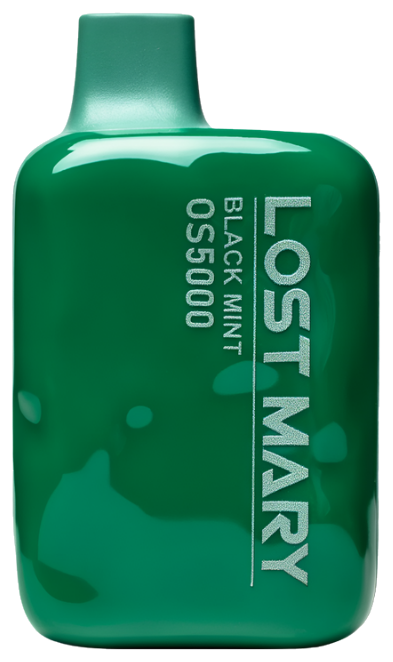 Lost Mary